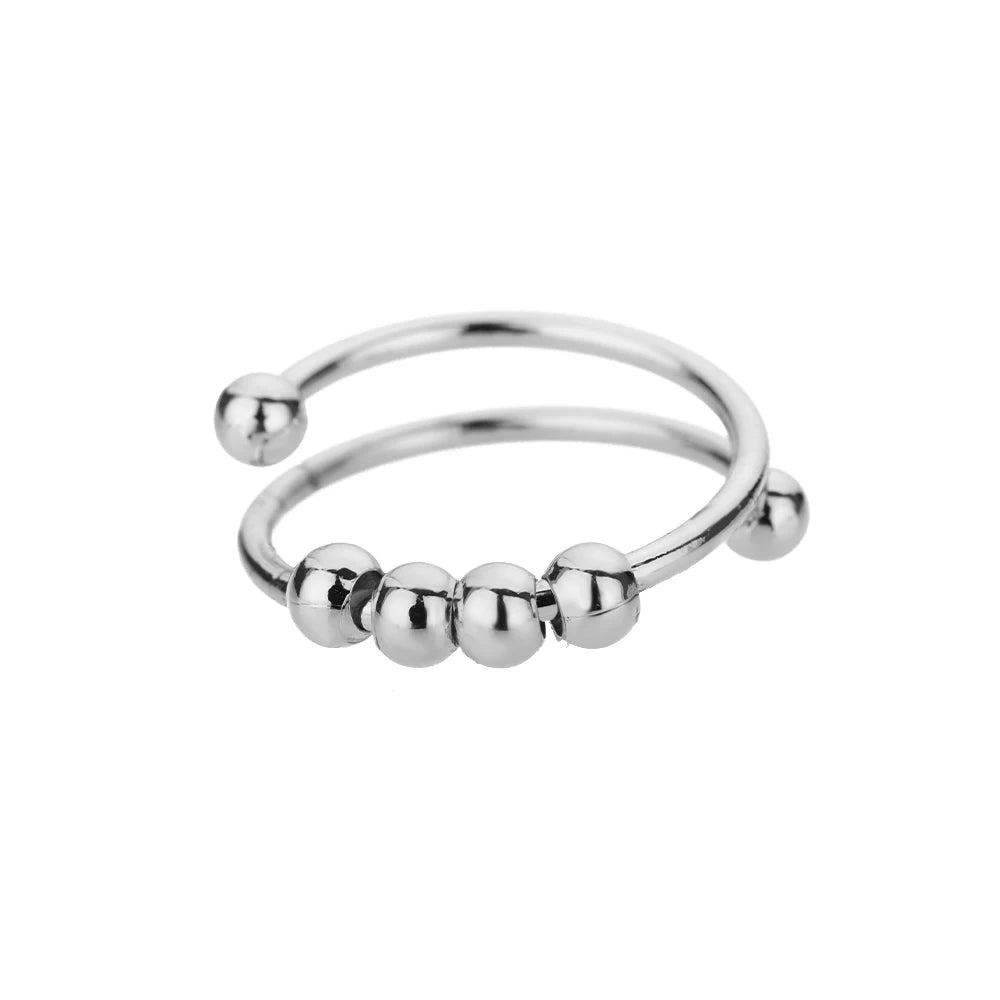 Stainless Steel Fidget Ring